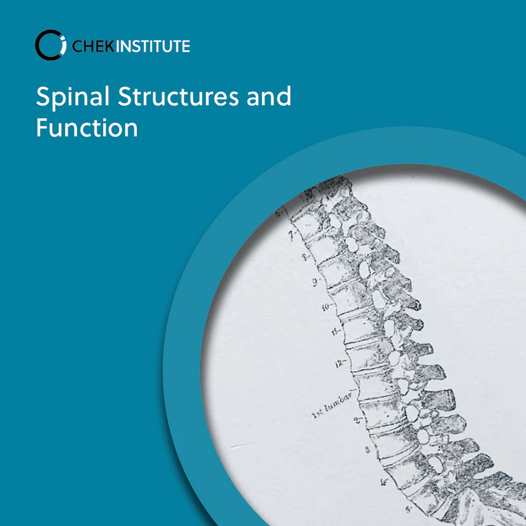 CHEKSpinalStructuresandFunction